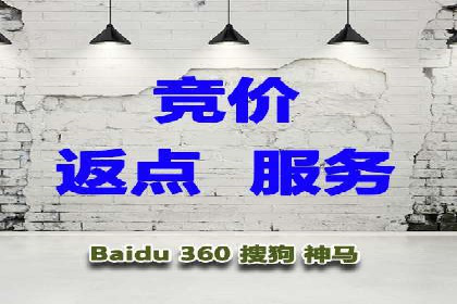 案例研究：SEM优化助力品牌知名度